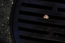 A Mickey Mouse head in a sewer grate, Chinatown, Aug. 14, 2016 in Philadelphia, Pa.